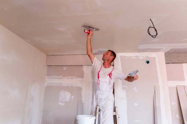 Best Custom Drywall Designs  in Durant, IA