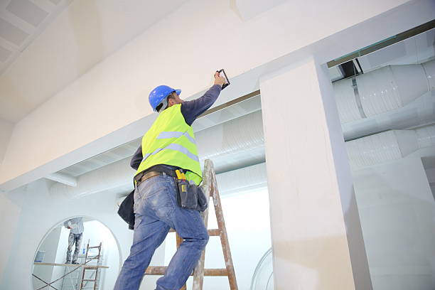 Best Fire-Damaged Drywall Repair  in Durant, IA